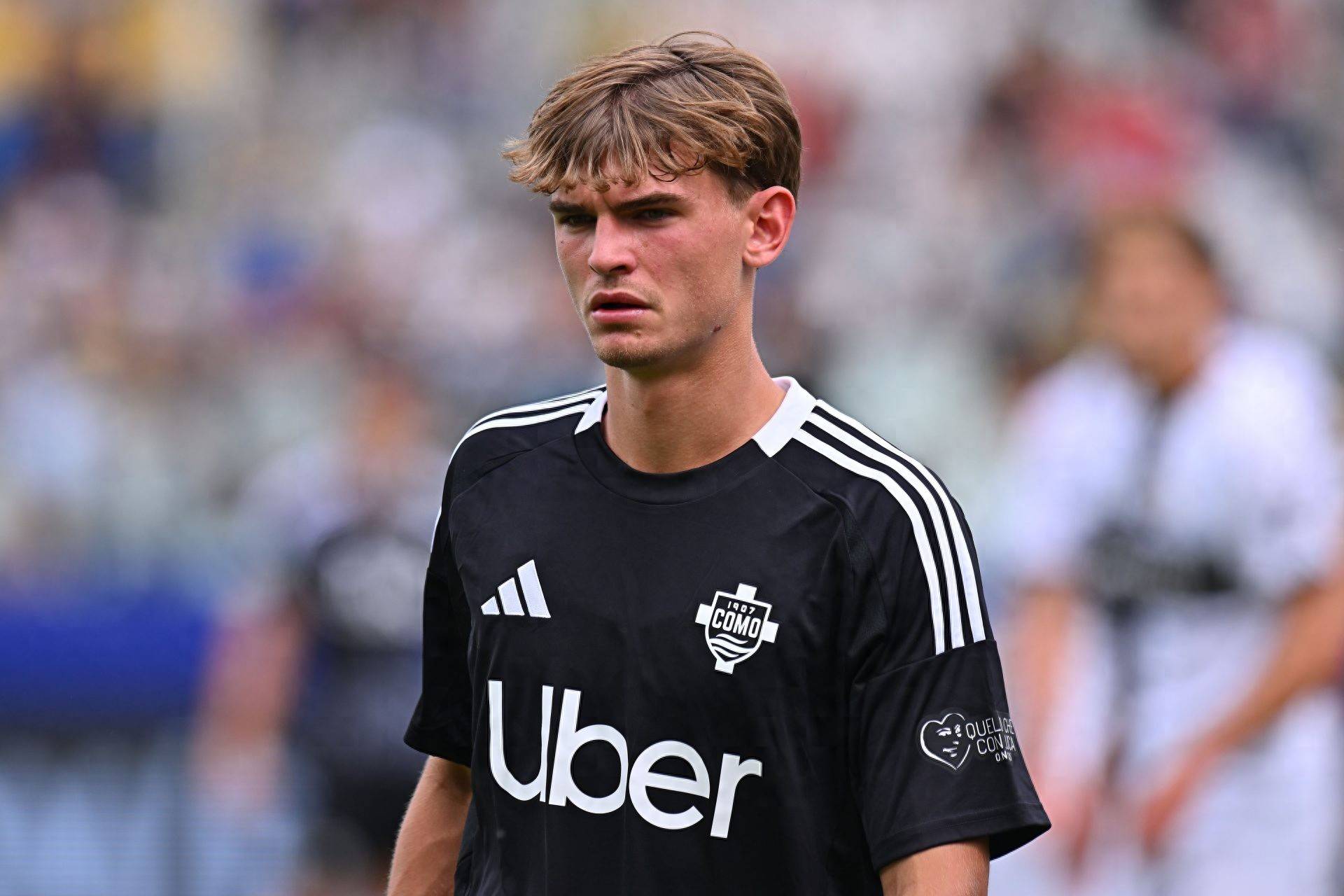 莫耶斯在战 莫耶斯在战